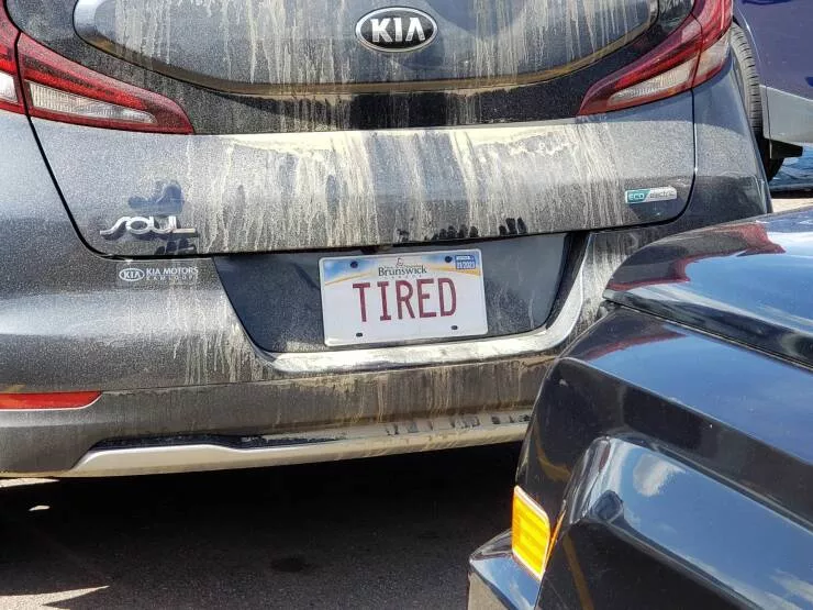 Picdump 646 - #61 