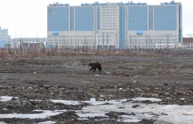 Picdump 646 - #65 