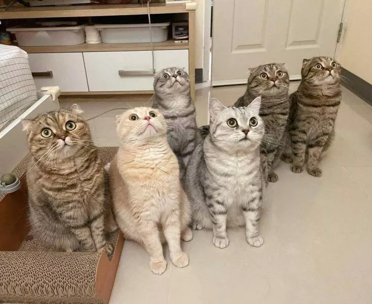 Picdump 646 - #68 