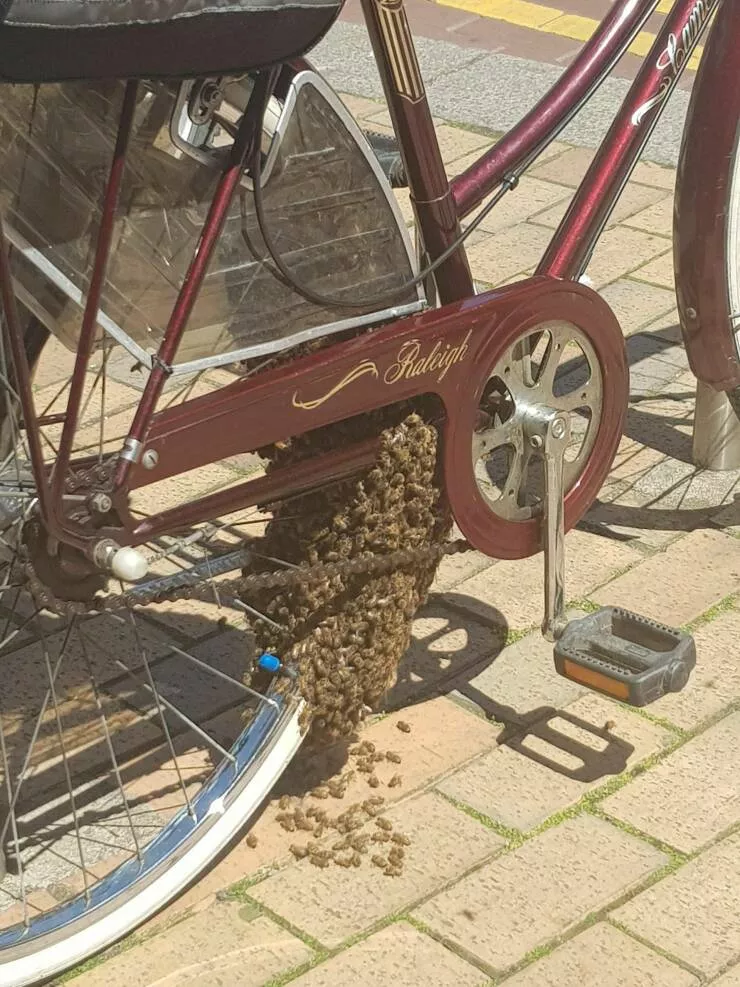 Picdump 647 - #15 