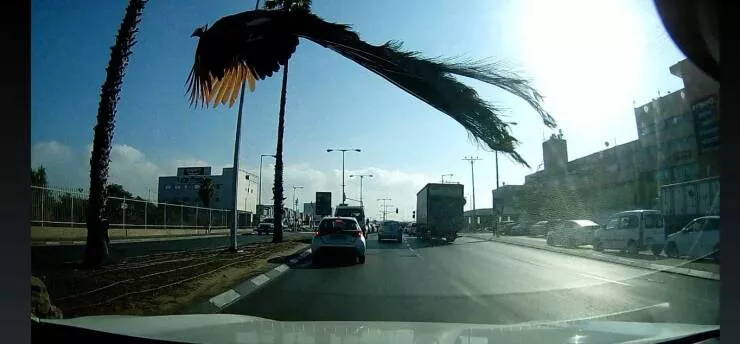 Picdump 647 - #30 