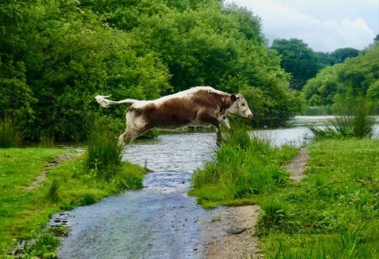 Picdump 647 - #47 