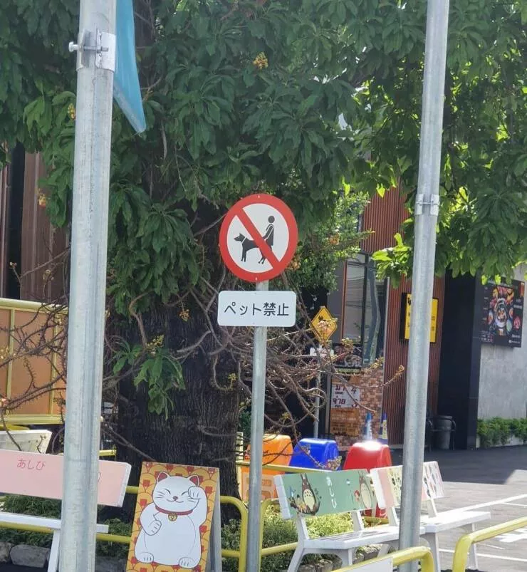 Picdump 647 - #51 