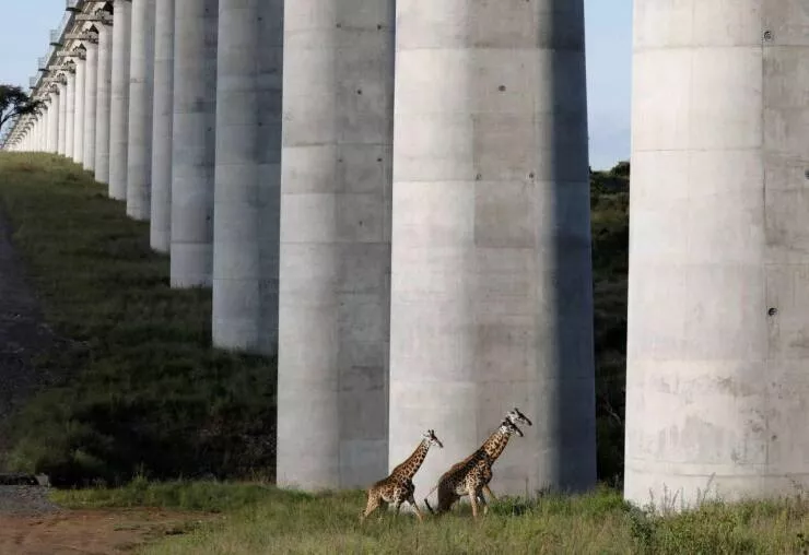 Picdump 647 - #8 