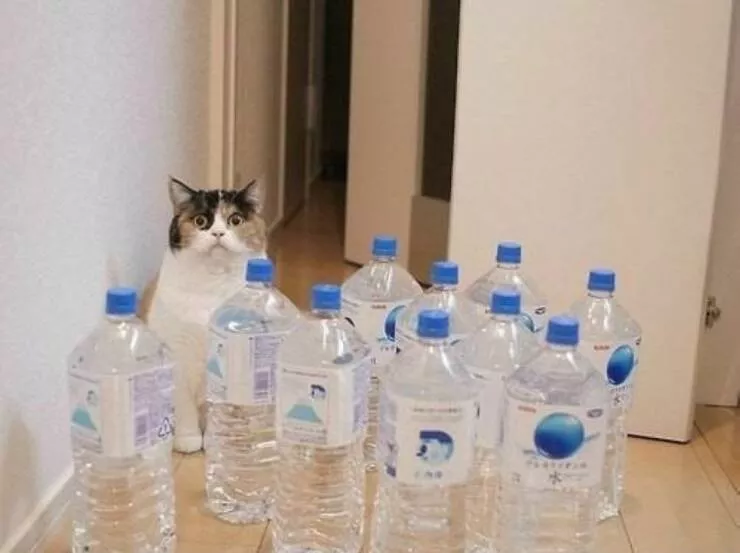Picdump 648 - #16 