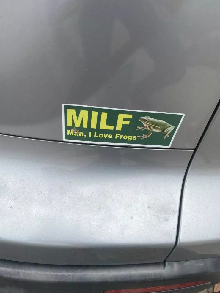 Picdump 648 - #5 