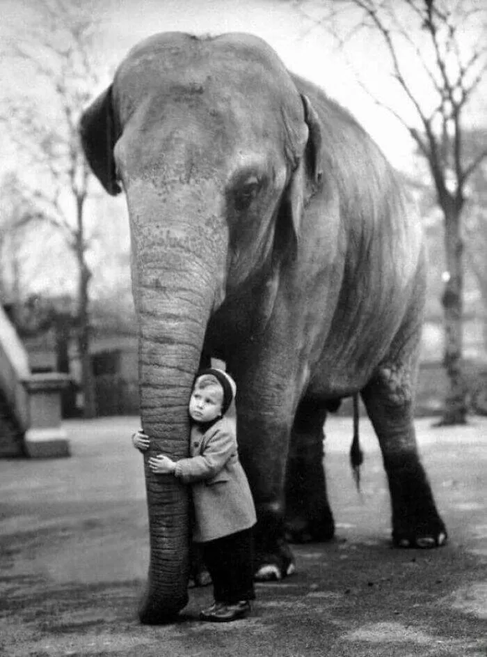 Best of historical photos