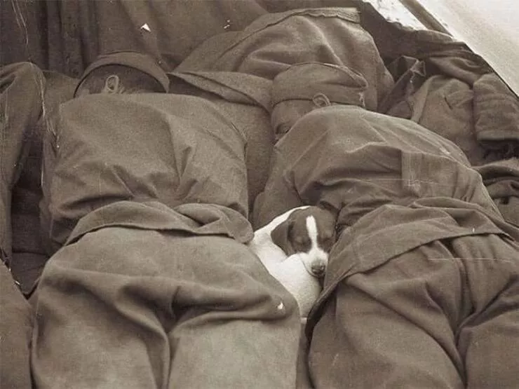 Best of historical photos - #4 