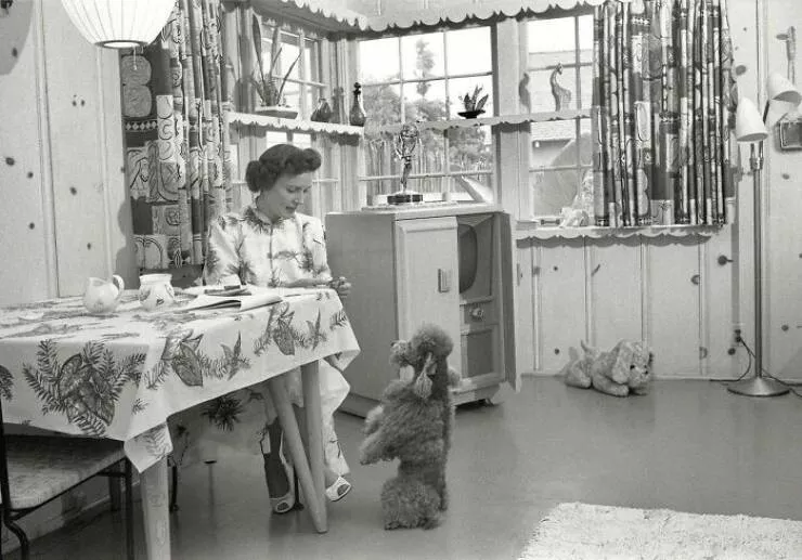 Best of historical photos - #5 