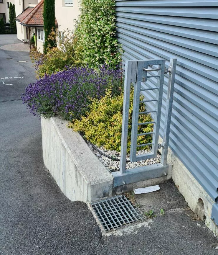 Picdump 649 - #30 
