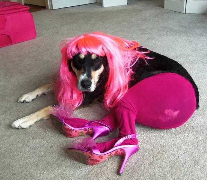 Picdump 649 - #33 
