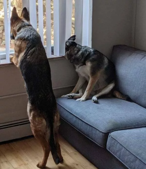 There are two types of personalities - #13 