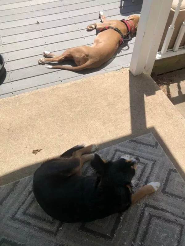 There are two types of personalities - #9 