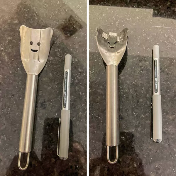 What are these strange things - #10 To remove corn kernels