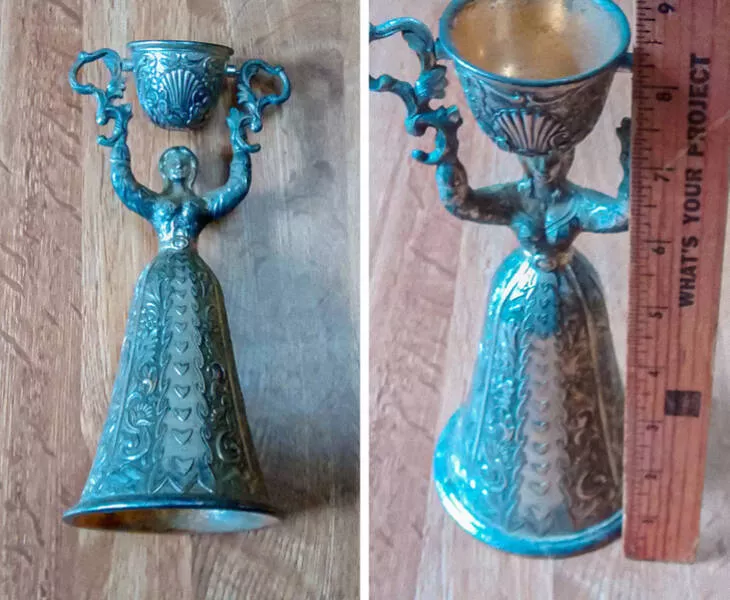 What are these strange things - #12 