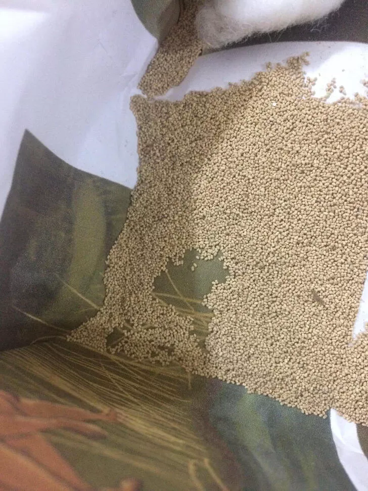 What are these strange things - #5 Termite waste