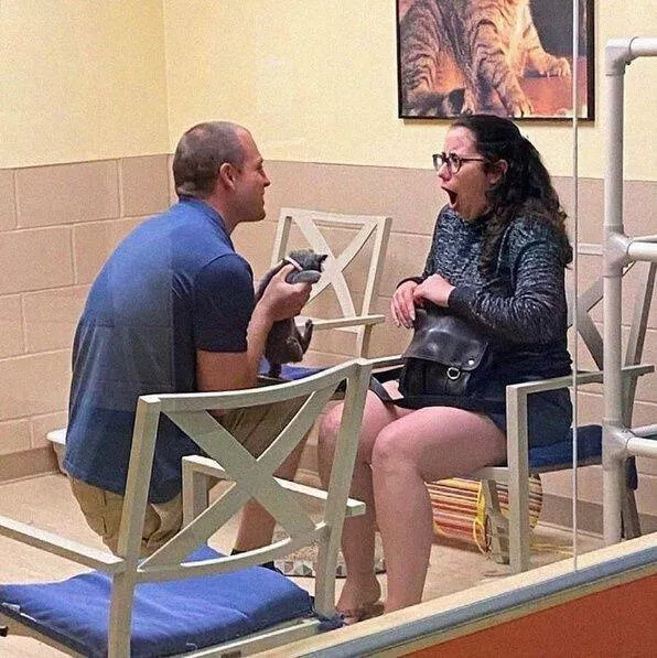 Picdump 650