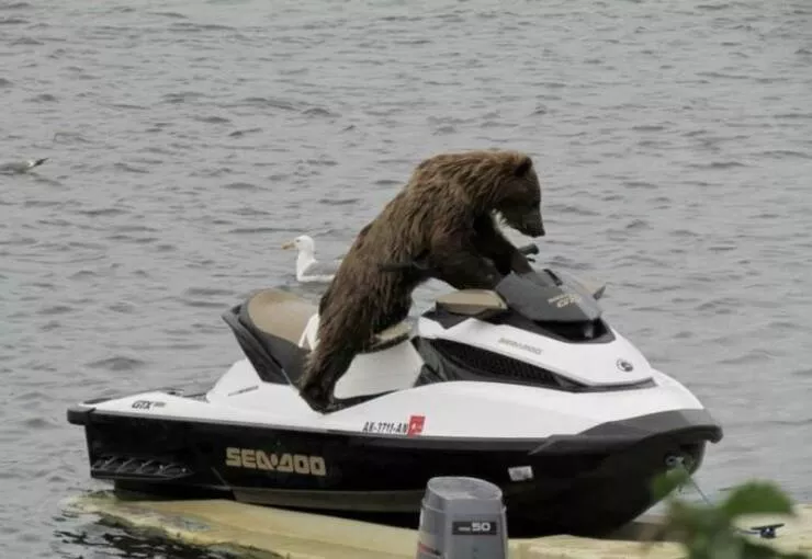 Picdump 650 - #36 