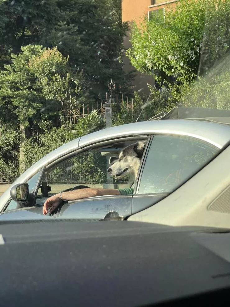 Picdump 651 - #6 