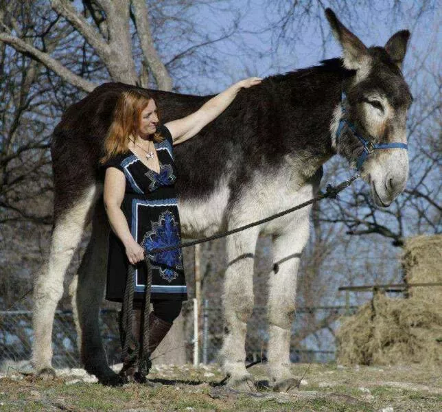 Picdump 652 - #34 