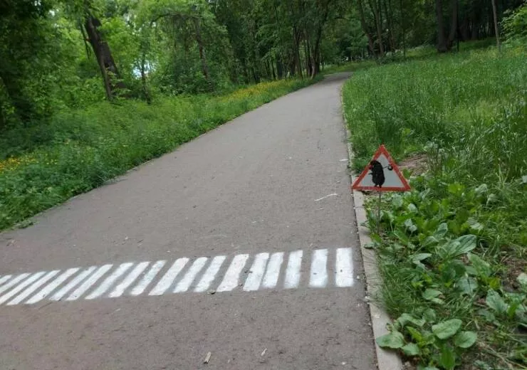 Picdump 652 - #45 