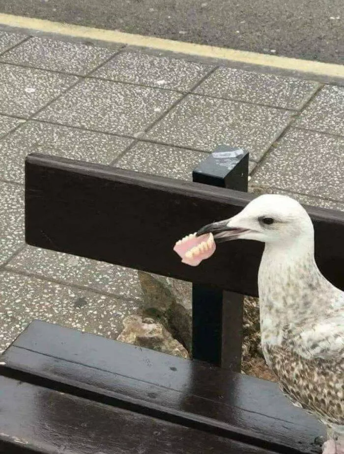 Picdump 652 - #50 