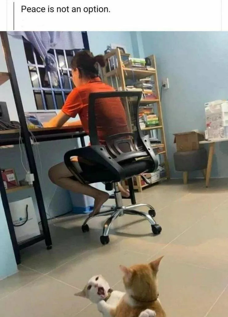 Picdump 652 - #55 