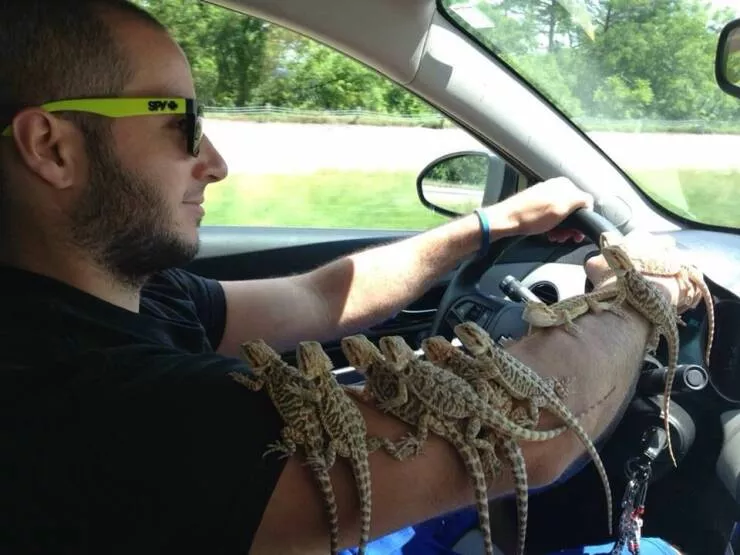 Picdump 652 - #7 