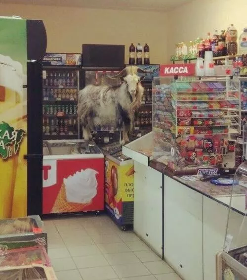 Picdump 653 - #25 