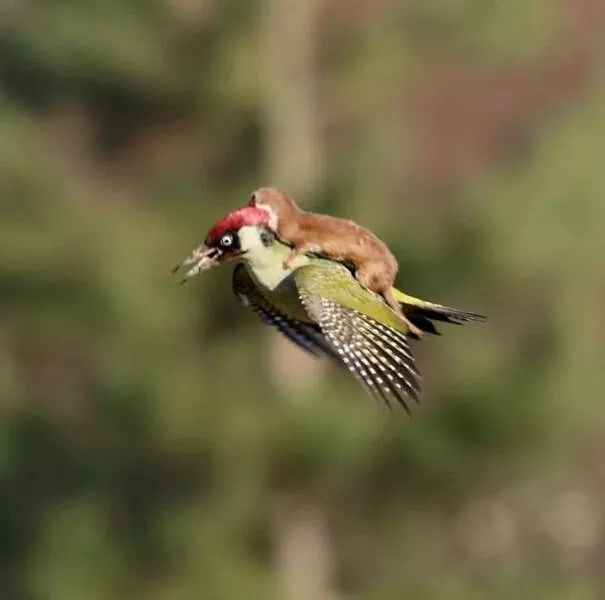 Picdump 653 - #38 