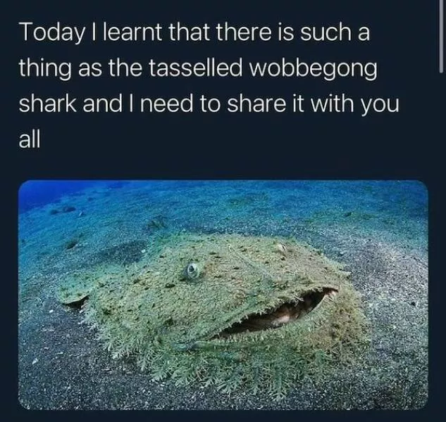 Its awful - #16 