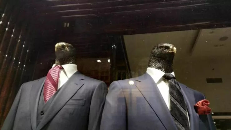 Picdump 654 - #2 