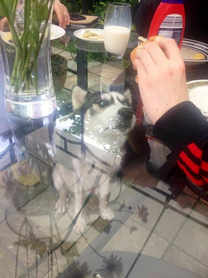 Picdump 654 - #21 