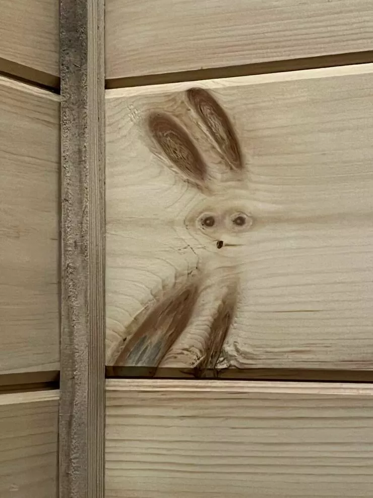 Picdump 654 - #36 