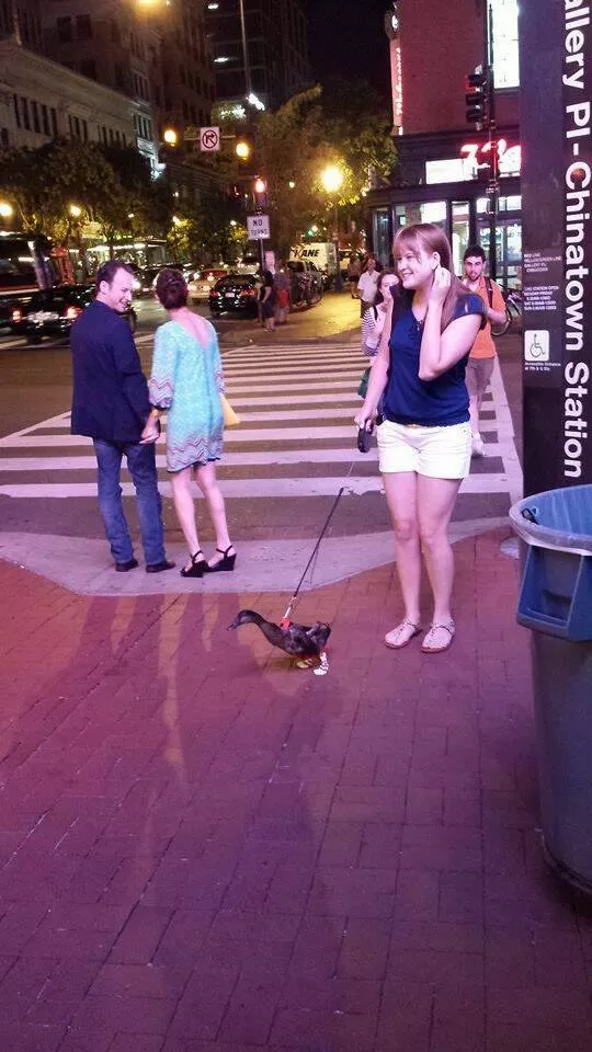 Picdump 654 - #39 