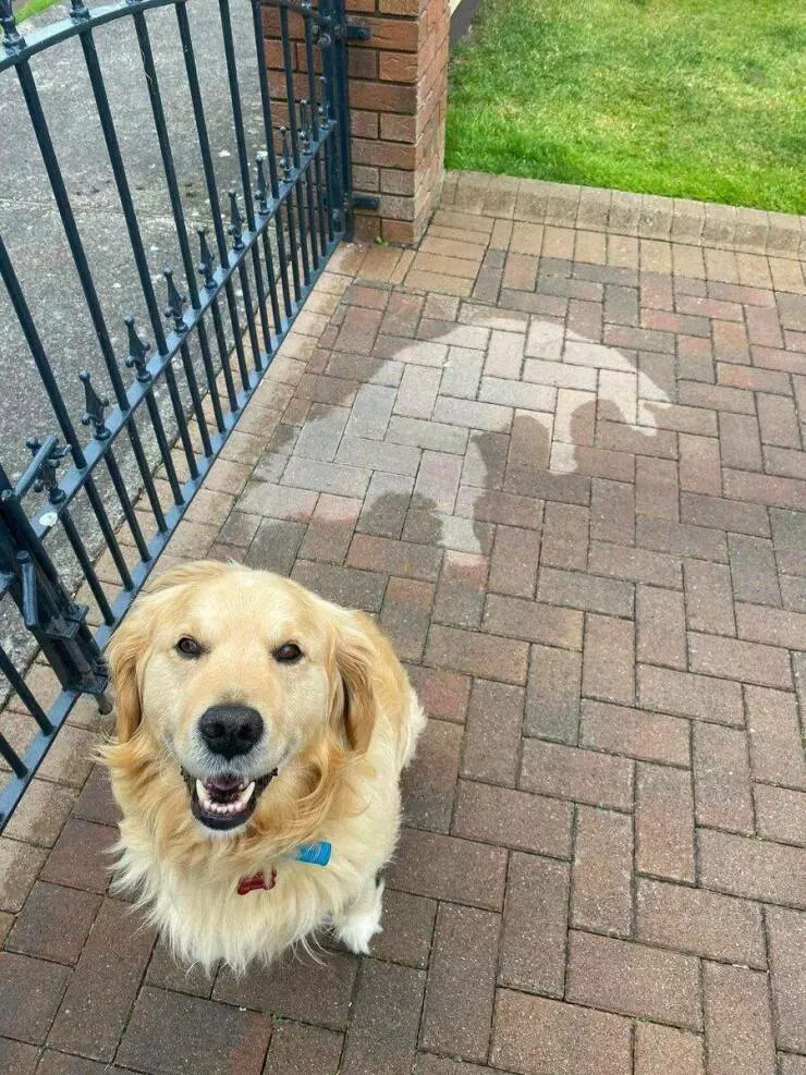 Picdump 655 - #14 