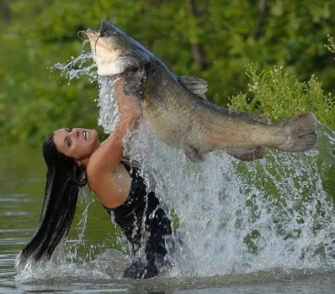 Picdump 655