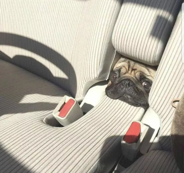 Picdump 655 - #35 