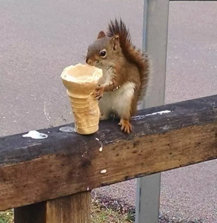 Picdump 655 - #39 