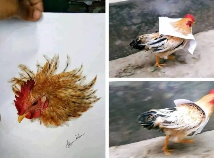 Picdump 655 - #5 