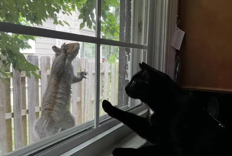 Picdump 655 - #50 