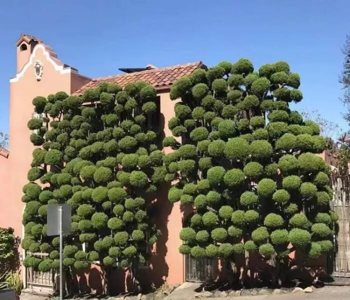 Picdump 658 - #48 