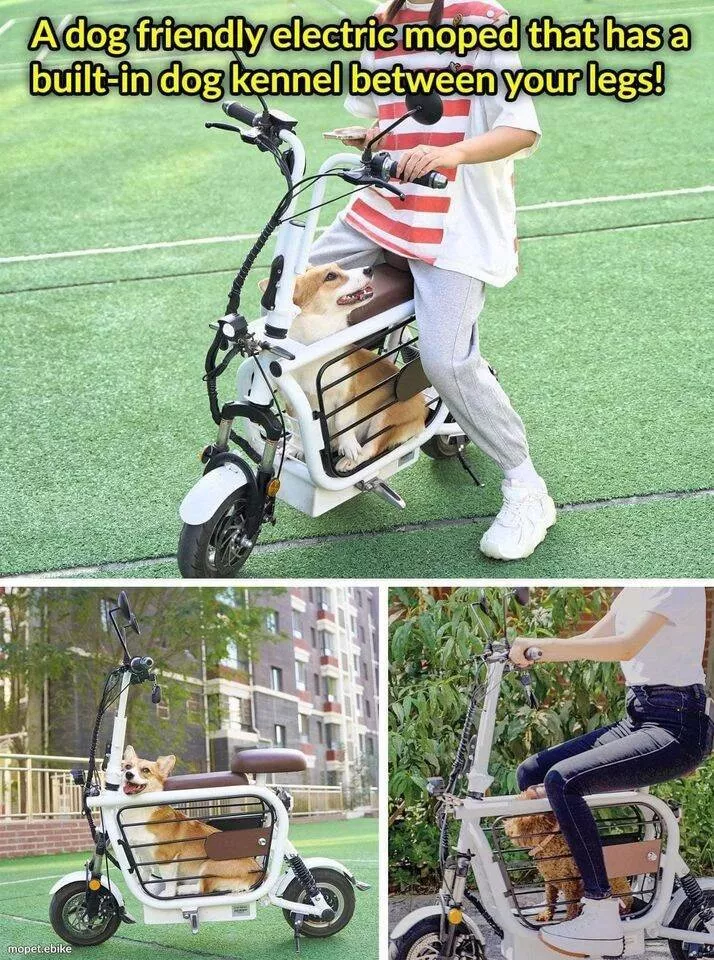 Picdump 659 - #14 