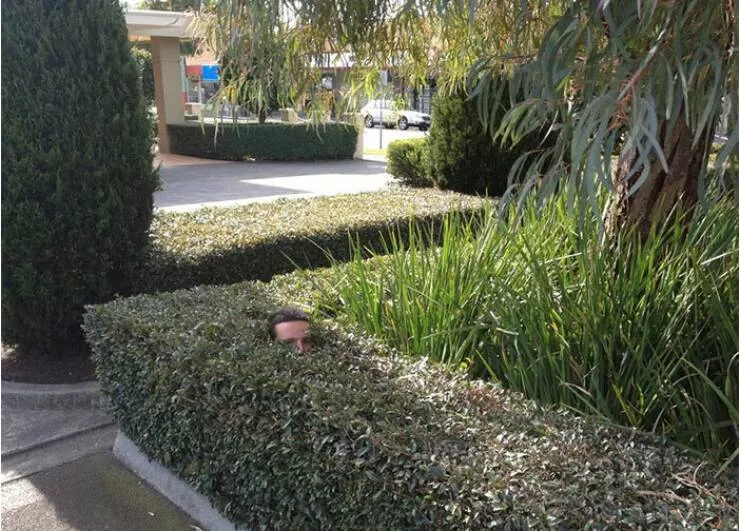 Picdump 660 - #51 