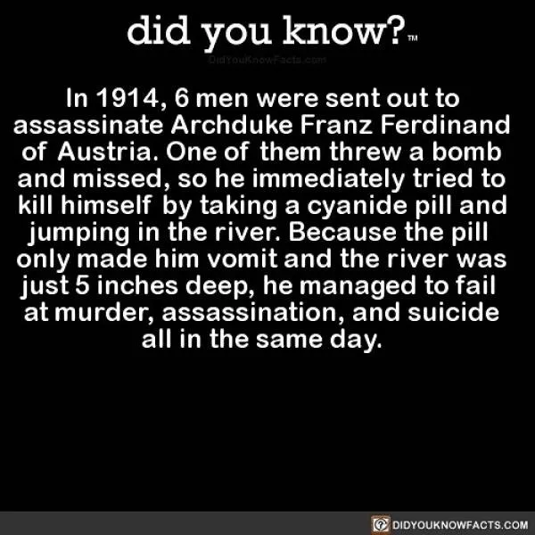 Some info here - #11 Some info here - #11