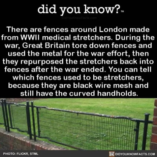 Some info here - #21 Some info here - #21