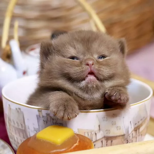 Picdump 662 - #1 