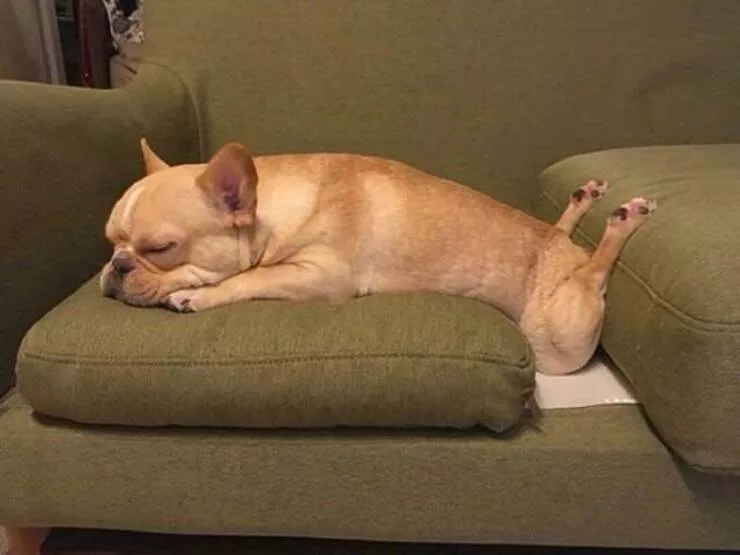 Picdump 662 - #38 