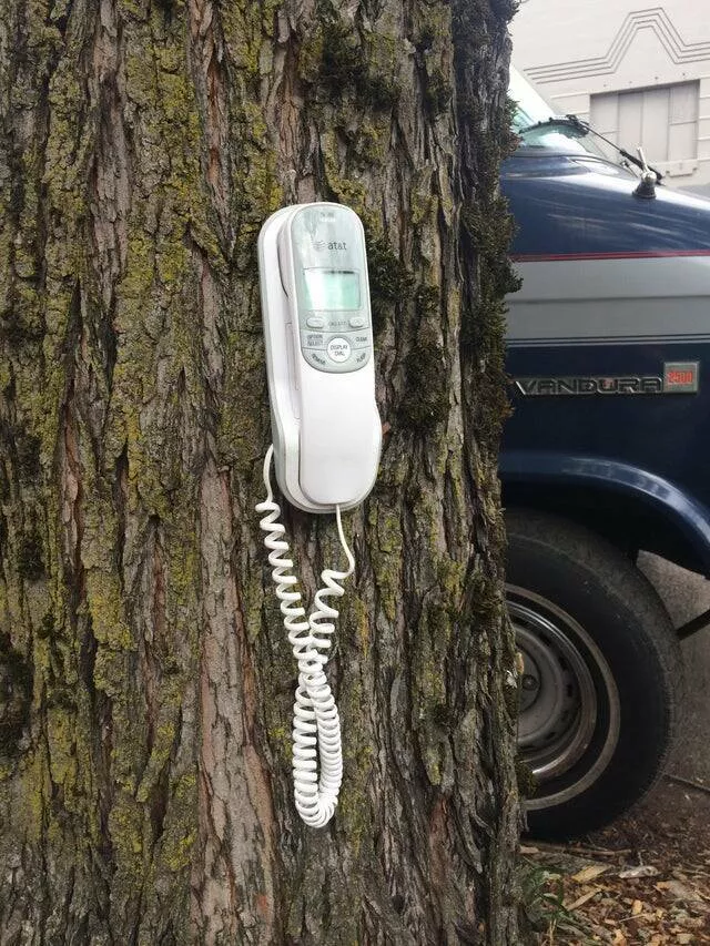 Picdump 662 - #56 