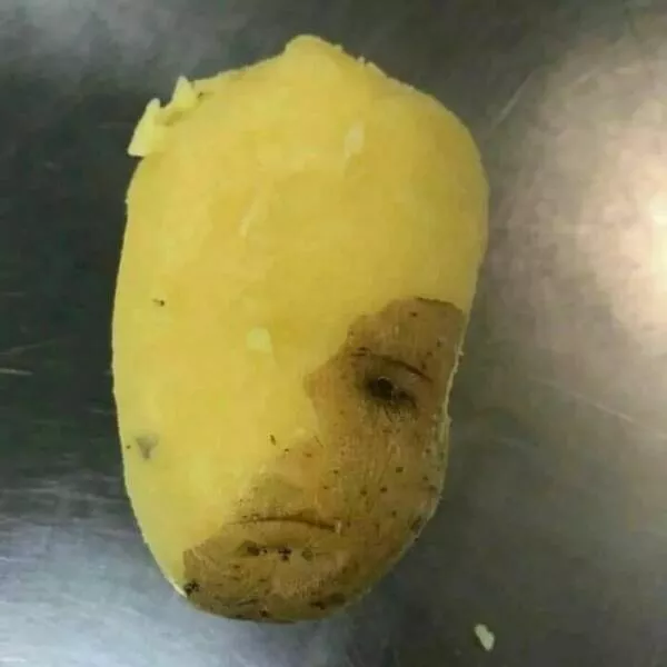 Food humor - #12 